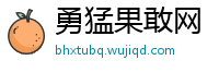 勇猛果敢网